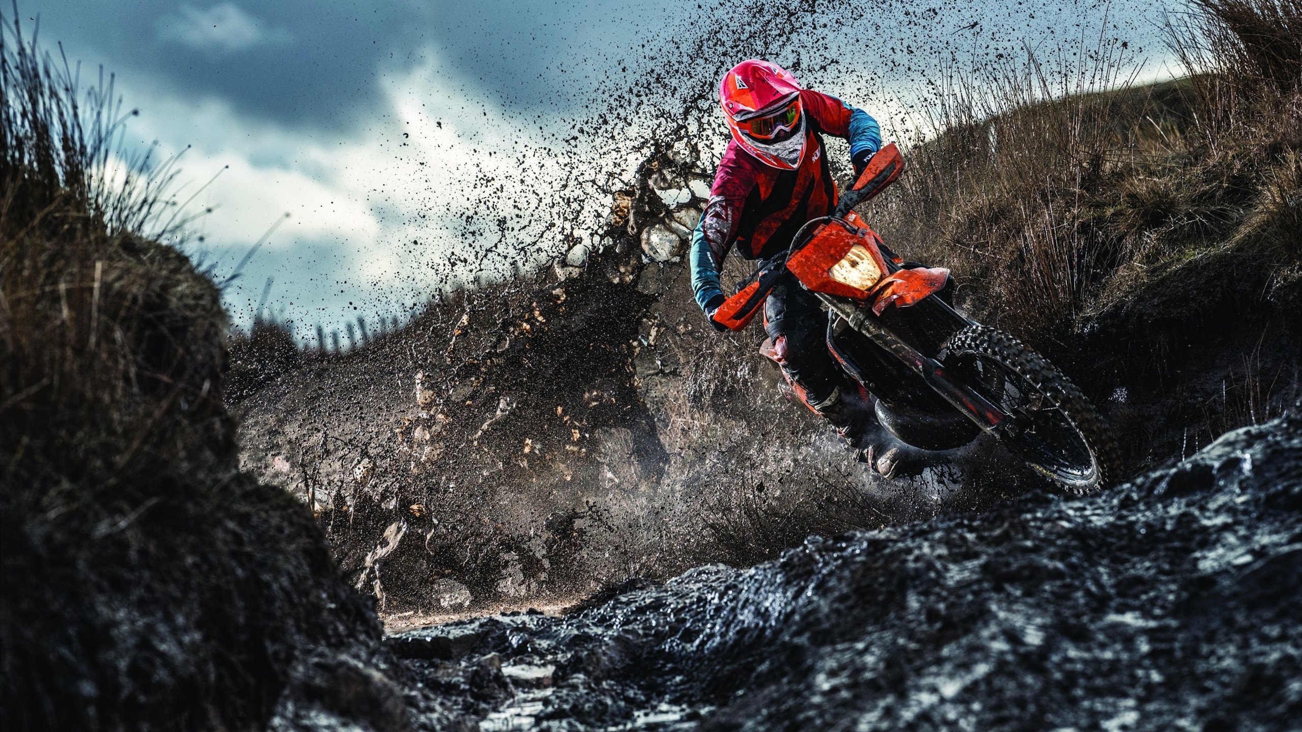 波兰队轻取中国队，樊振东高光表现难挽败局