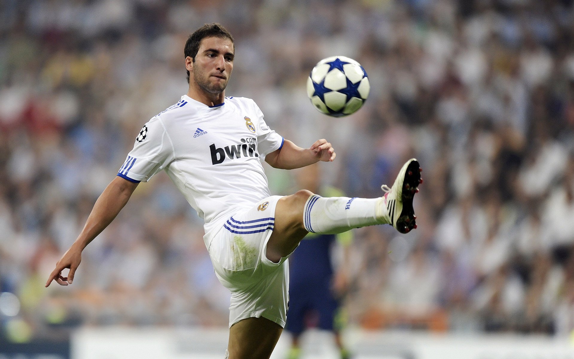 赛道上的逆袭，周冠宇高光表现，哈斯车队横扫索伯车队